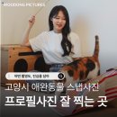 애완동물가족 | 고양시 애완동물 스냅사진 프로필사진 후기