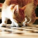 파니 게스트하우스 이미지