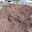 토토농장 이미지