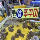 가락시장역 1번출구 | 가락시장역 주꾸미 맛집, 영재 수산에 다녀온 솔직 후기(내돈내산)