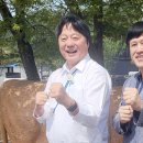 띵호와 이미지