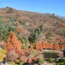 뉴훼미리공인중개사사무소 이미지