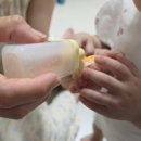 정대농장 이미지