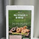 쌀로 만든 베이글 방긋웃는 후기, 쑥베이글 샌드위치 만드는 법