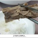 오미돌밥 이미지