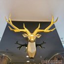 명지더나음한의원 이미지