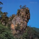 무릉공원 주차장 이미지