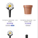 탐나오리 이미지
