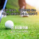 왕초보 사주명리학과 생활역학 | [공지] 골프 엘보우 통증, 자연회복을 돕는 목어석 3분패치의 효과 &amp; 사용후기