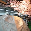 캠핑고래 경산점 이미지