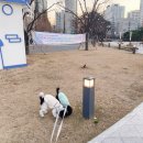 멍멍냐옹동물병원 이미지