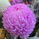 꽃사랑플라워 | 남대문꽃시장 명지플라워 후기｜졸업 입학 꽃다발 추천 꽃바구니 제작