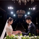 까사델피노 인 제주 | w2. 속초 웨딩홀 델피노 / 비비안웨딩 본식 스냅 (계약O) 짝꿍코드 공유