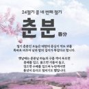 춘분 春分 24절기 중 네번째 절기 이미지