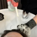 리펠라 헤어&스파살롱