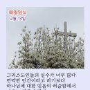 매일양식2