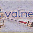 Valneva는 COVID 백신이 1차 백신으로 효과적이라고 말합니다. 이미지