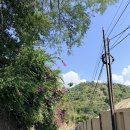 멍문(moon) | [발리 : 아메드] 발리 아메드 숙소 추천! 블루문 리조트(Blue Moon Villas) 인피니티 풀 &amp; 오션뷰 후기