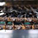 장산영농조합 이미지