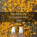 뚜벅이 춘천여행 1.5일 &lt;조각 공원&amp;공지천 유원지&gt; 단풍놀이