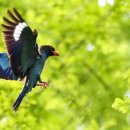 아리랑이발관 이미지