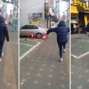 비둘기한국@ 이미지