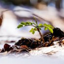 바람아래 이미지