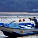 갯벌이야기 이미지