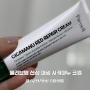 푹잠 | 올리브영 신상 파넬 시카마누 크림 8시간 푹잠크림 사용후기