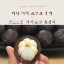 망고스틴 | 다낭 과일 맛집 추천 미미 프루츠 망고스틴 솔직 후기