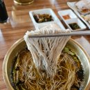 봉평메밀꽃막국수 | 고향막국수:: 봉평 메밀꽃축제 맛집 평창여행 순메밀막국수 솔직후기