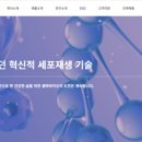 제이투케이인터내셔널 이미지