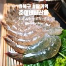 동천동행정복지센터북카페 | 칠곡3지구조개구이 푸짐함에 놀란 춘이네해산물 생새우회랑 가리비구이 먹은 후기