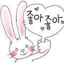 부룡체육관 이미지