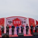 달성토마토축제 Daum카페