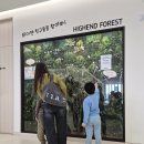 365언제나약국 | 위례 소아과 하이엔소아청소년과｜열이 안 떨어져 수액 맞은 솔직 후기 (365 야간진료)