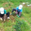 송림1리 이미지