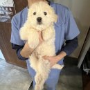 학산동물병원 이미지