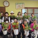증평군 농업기술센터 | 증평군농업기술센터, 농촌 어르신 위한 치유 여가활동 운영