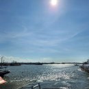 온누리펜션가든 | 궁평항수산시장 수산물직판장 광복호 포장 후기