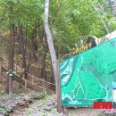 두개비산산림욕장 뉴시스