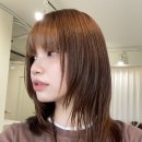플러터헤어