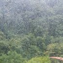 힐링스테이 우드밸리 이미지