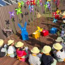 12/9 크리스마스 테라리움 이미지