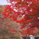 상동읍 약수공원(상동읍-13) | 순창 강천사 단풍 명소 전라도 전북 가을 여행지 강천산 단풍 구경 입장료 등산코스 등 방문 후기