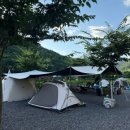 플로라 캠프 이미지