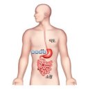 20대 위내시경 후기:: 역류성 식도염/하남 웰니스 내과
