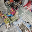 잠비스테이 | 경남 거제, 잠비스테이 - 101호 후기/독채숙소/에어비엔비/바다보이는가성비숙소/야외바베큐가능