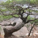 소요산역 이미지