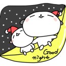 땡자애견 이미지